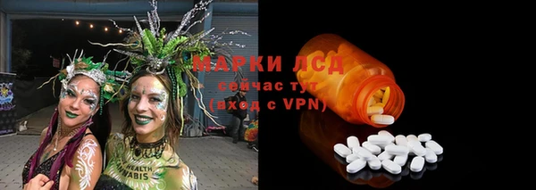 ГАЛЛЮЦИНОГЕННЫЕ ГРИБЫ Баксан