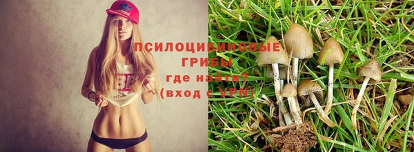 прущая мука Балабаново