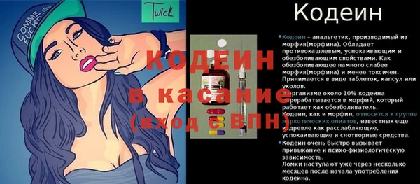 ГАЛЛЮЦИНОГЕННЫЕ ГРИБЫ Баксан