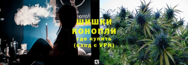 ГАЛЛЮЦИНОГЕННЫЕ ГРИБЫ Баксан